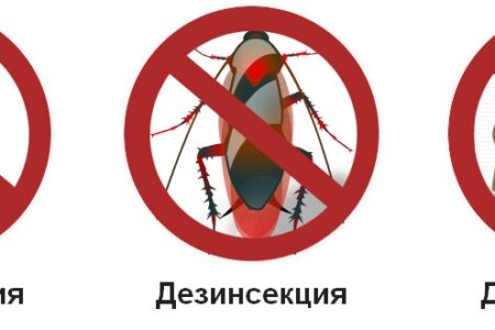 Дезинфекция и дезинсекция помещений